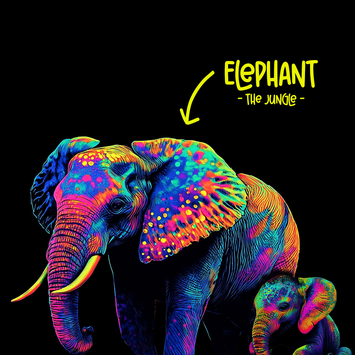 Wildlife Series